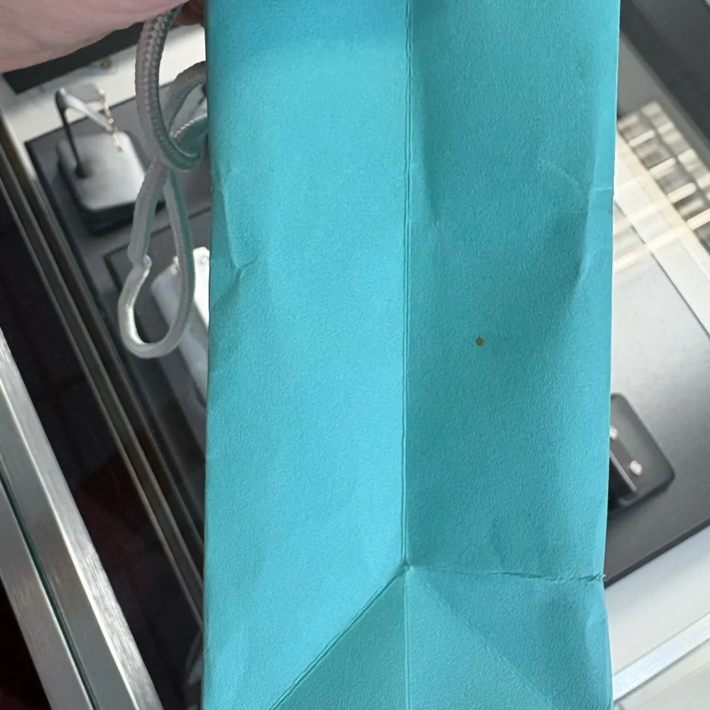 Tiffany & Co. Gift Bag Size 9in x 4.75in